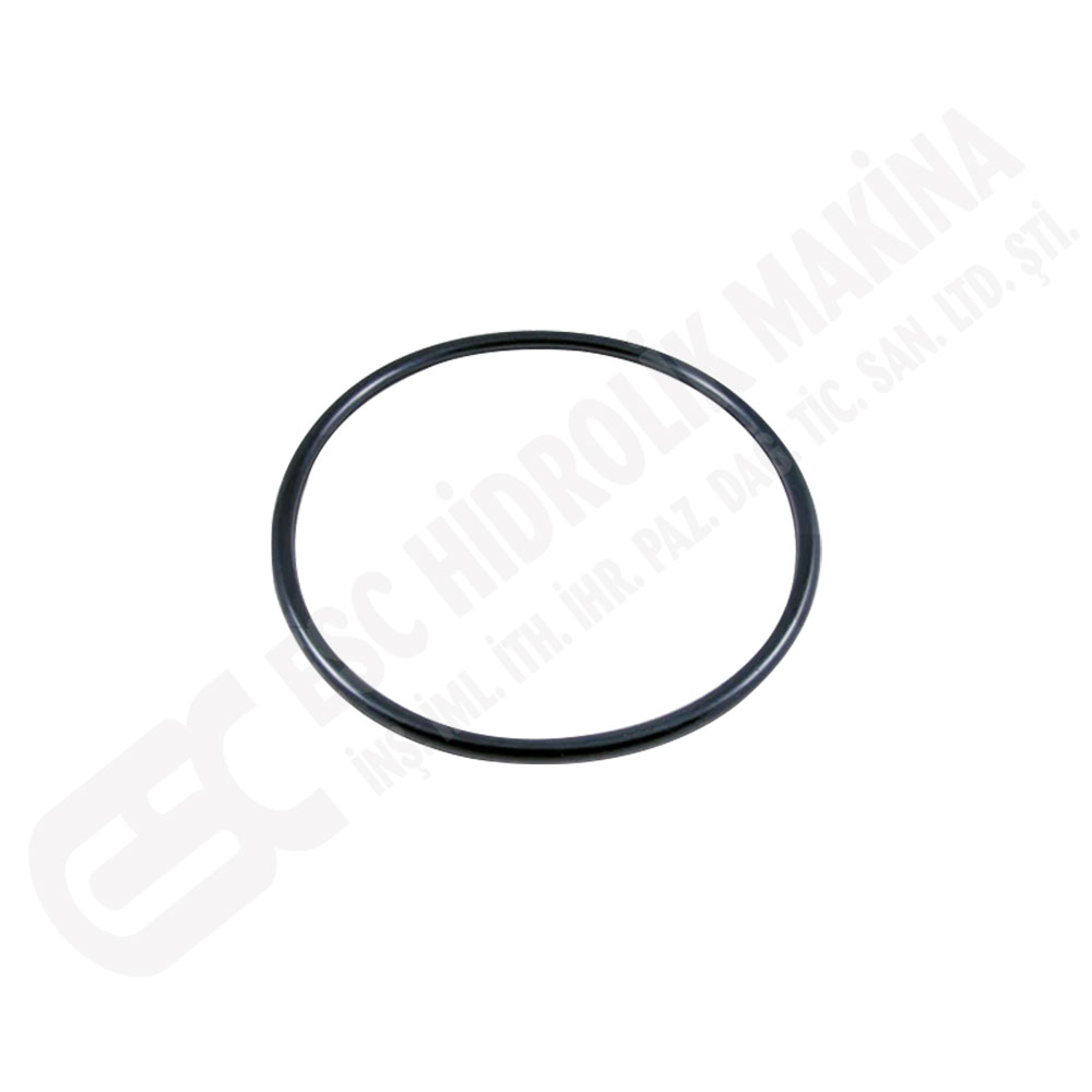 O-RING 200x10
